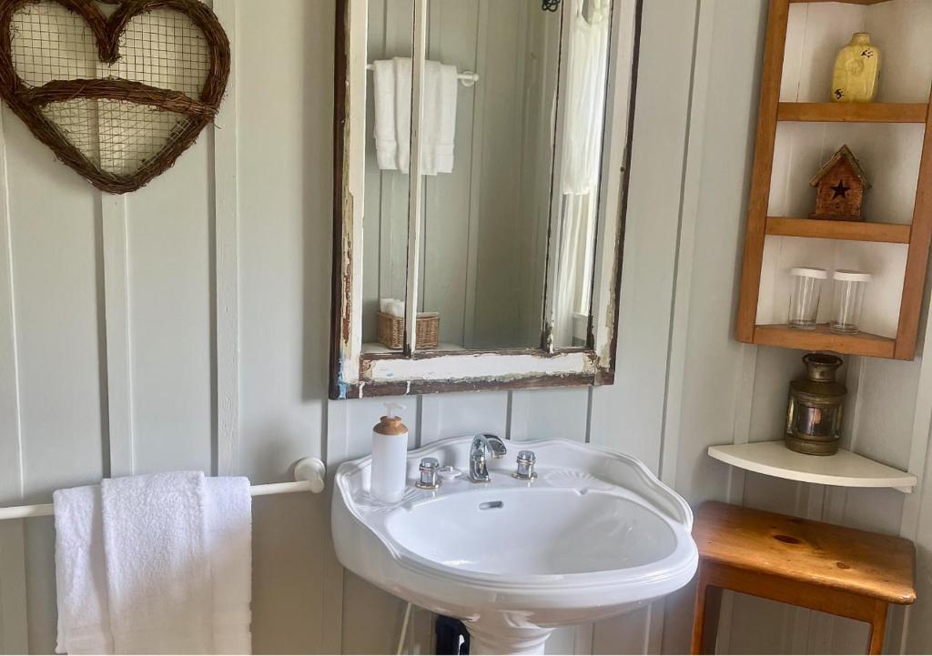 a bathroom with a white sink and a mirror at Quarrystone House B&B in Fernwood
