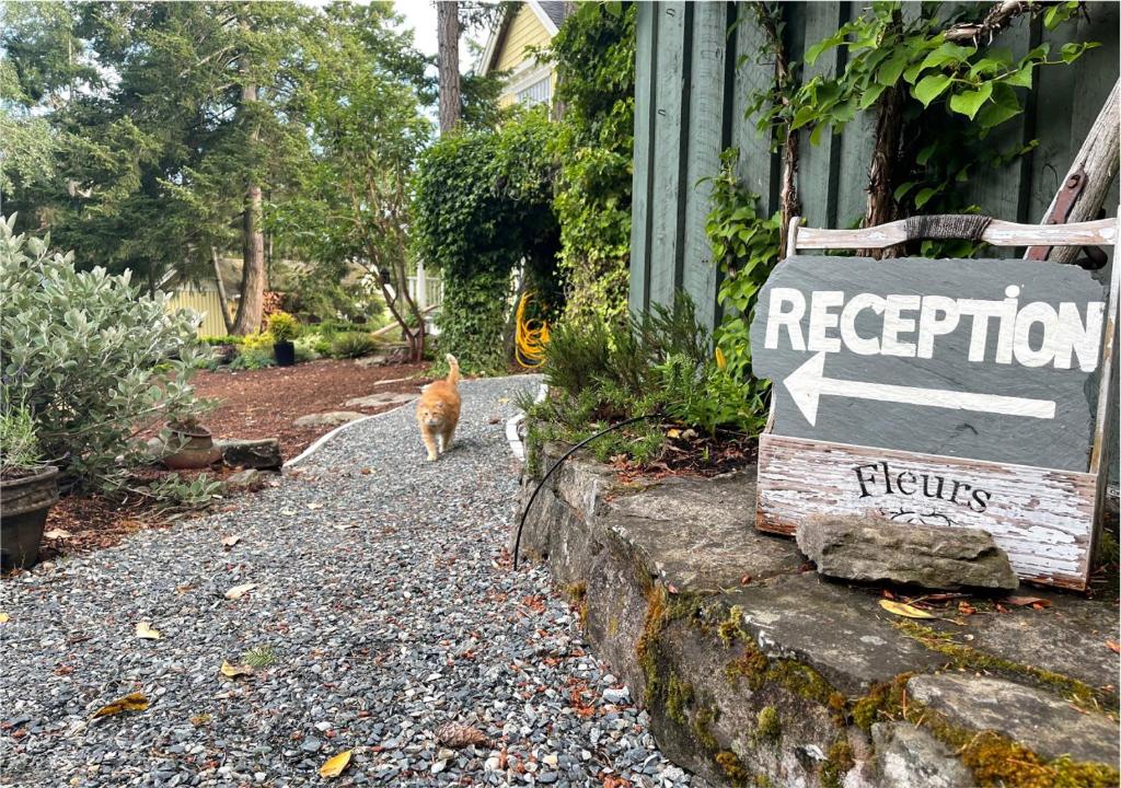 an orange cat walking next to a reception sign at Quarrystone House B&B in Fernwood