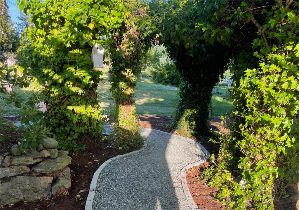 a garden with a walkway with trees and flowers at Quarrystone House B&B in Fernwood