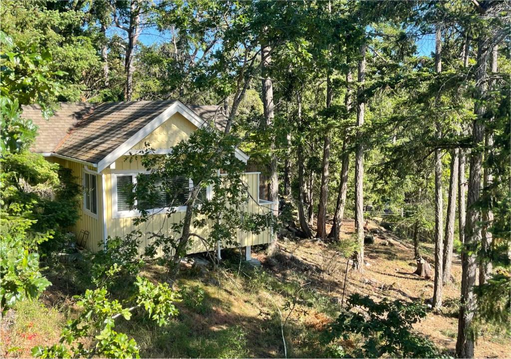 a small house in the middle of the woods at Quarrystone House B&B in Fernwood