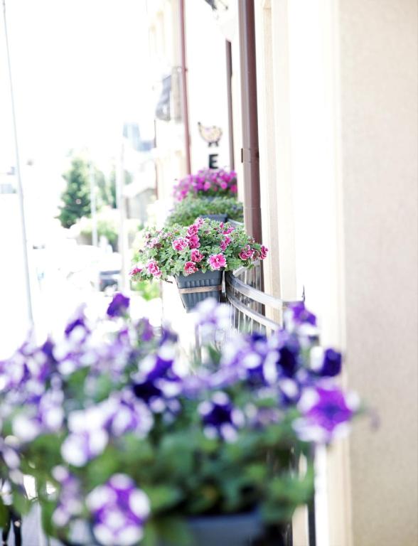 CENTRAL VIEW Craiova - Resim 18