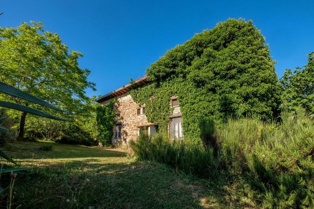 Stella Nord Podere Carbone في غروسيتو: منزل حجري قديم مع اللبي ينمو عليه