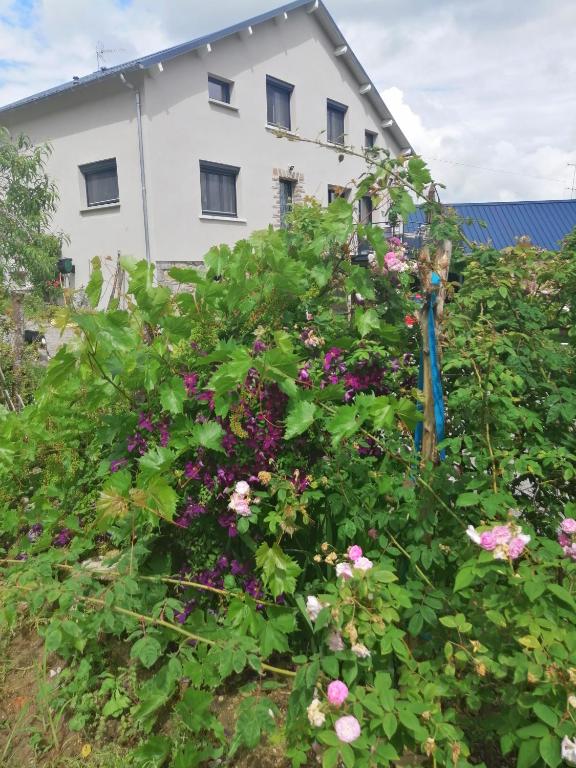 a white house with flowers in front of it at Gîte Le domaine de Moïse in La Fouillade