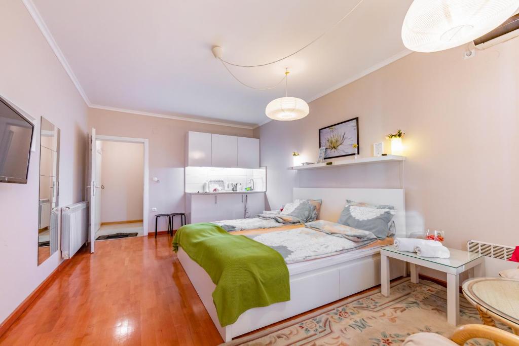 Dimar Apartments - Large Studio Apartment