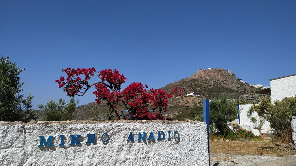 a sign on a wall with a tree with red flowers at Μικρό Ανάδιο in Kapsali