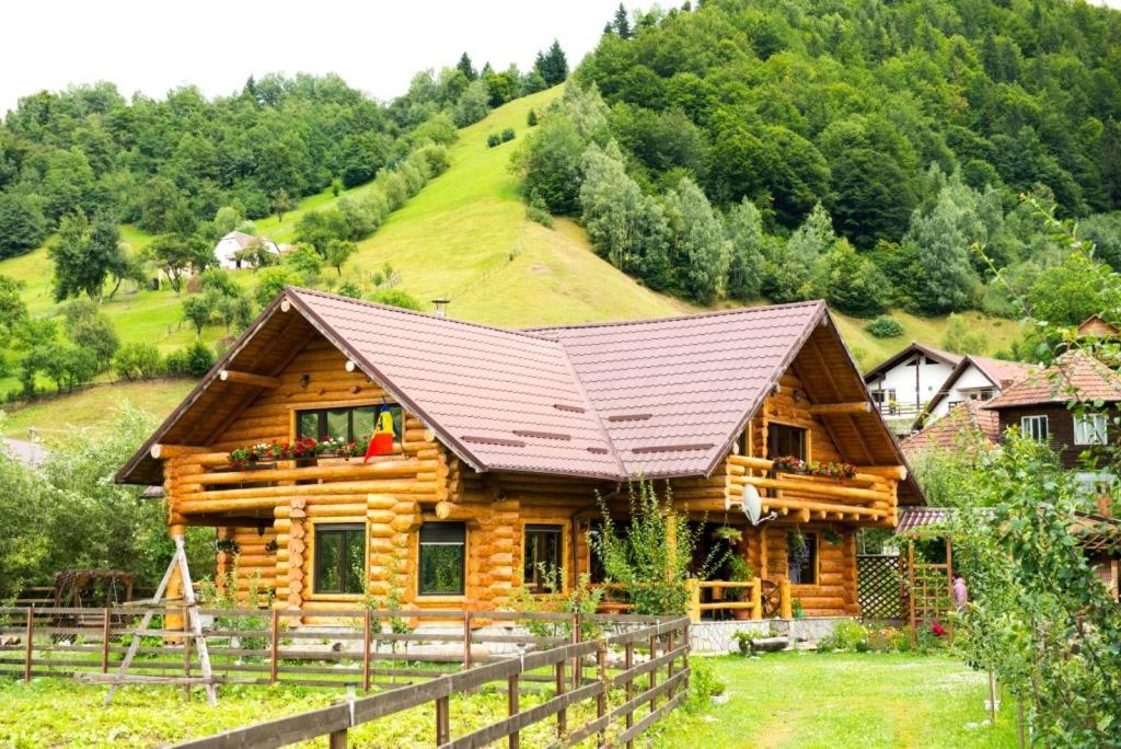 a log cabin with a mountain in the background at The Lodge in Moieciu de Jos