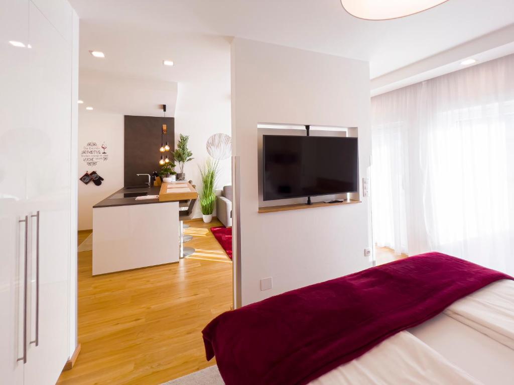 TV a/nebo společenská místnost v ubytování VIVA Apartments