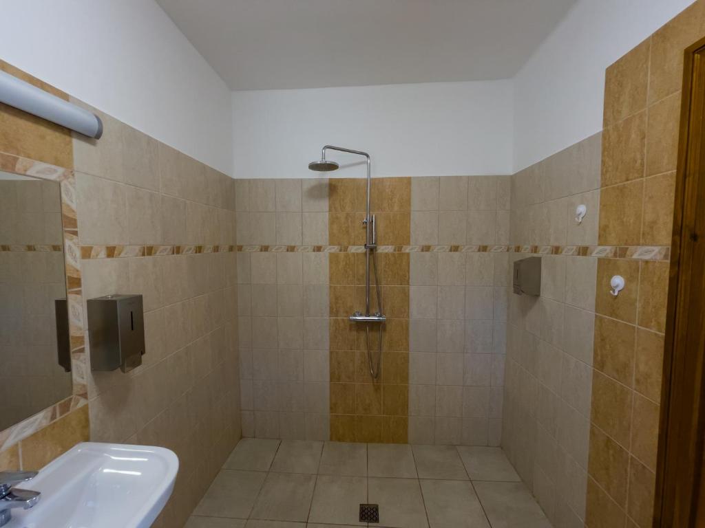 Kúpeľňa v ubytovaní Mamutfenyő Panzió