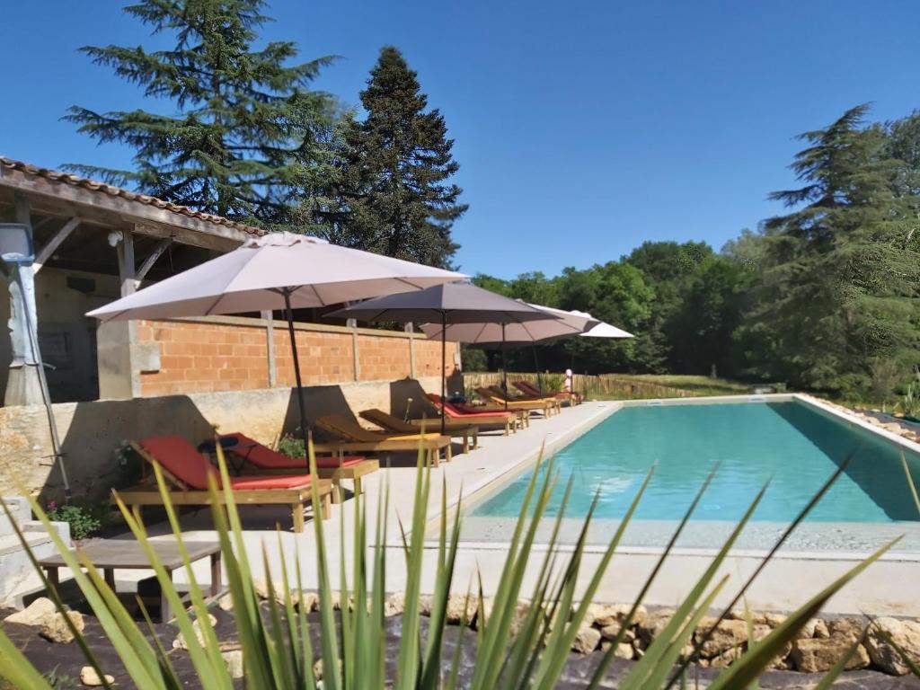 einen Pool mit Stühlen und Sonnenschirmen neben einem Haus in der Unterkunft Château la bastide cardan in Saint-Sulpice-de-Pommiers