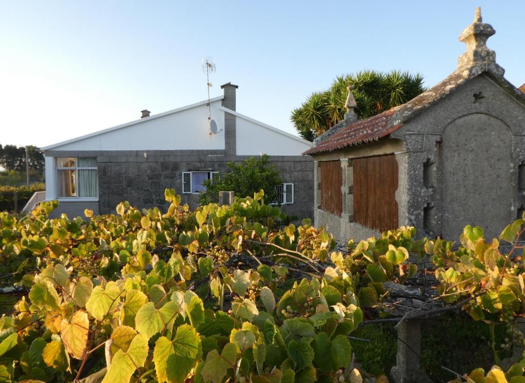 an old church and a field of plants at Casa rural Don Armando in Bueu