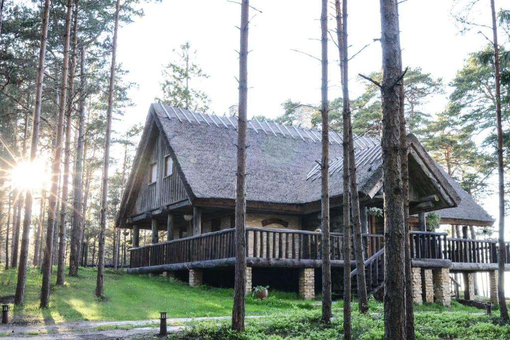 uma cabana de madeira na floresta com árvores em Metskapteni Puhkemaja em Põõsaspea