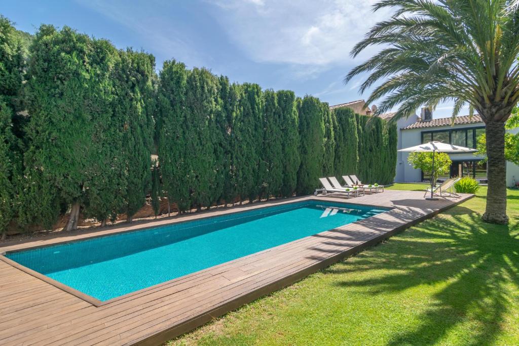 a swimming pool in a backyard with a palm tree at Can Cabrit in Alaró