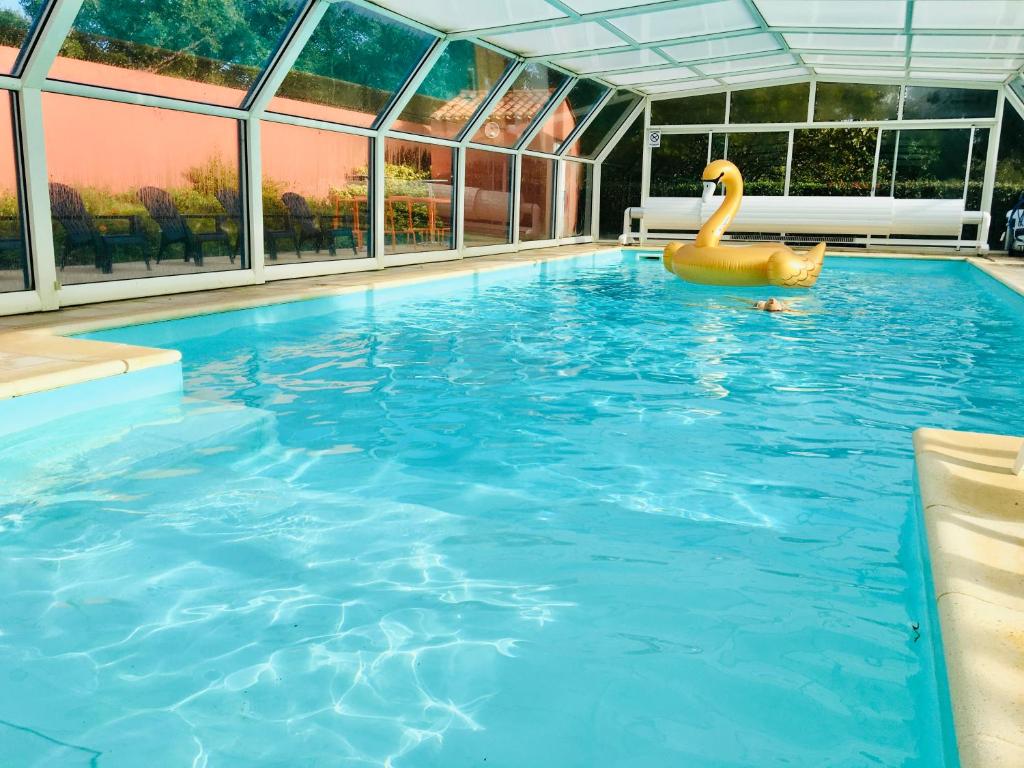 uma piscina com um cisne na água em Gîtes de la Roullière em Le Longeron