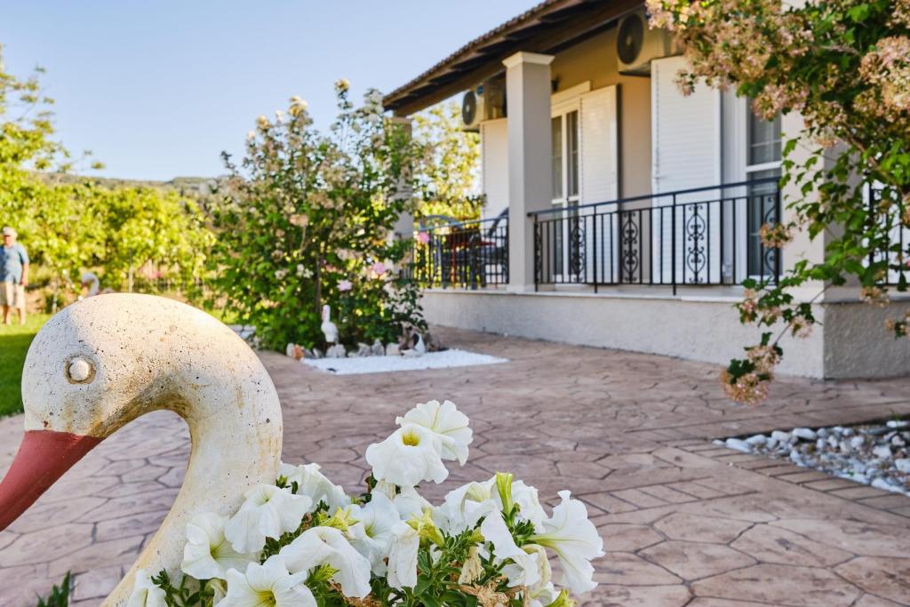 Zahrada ubytování Villa Doreta