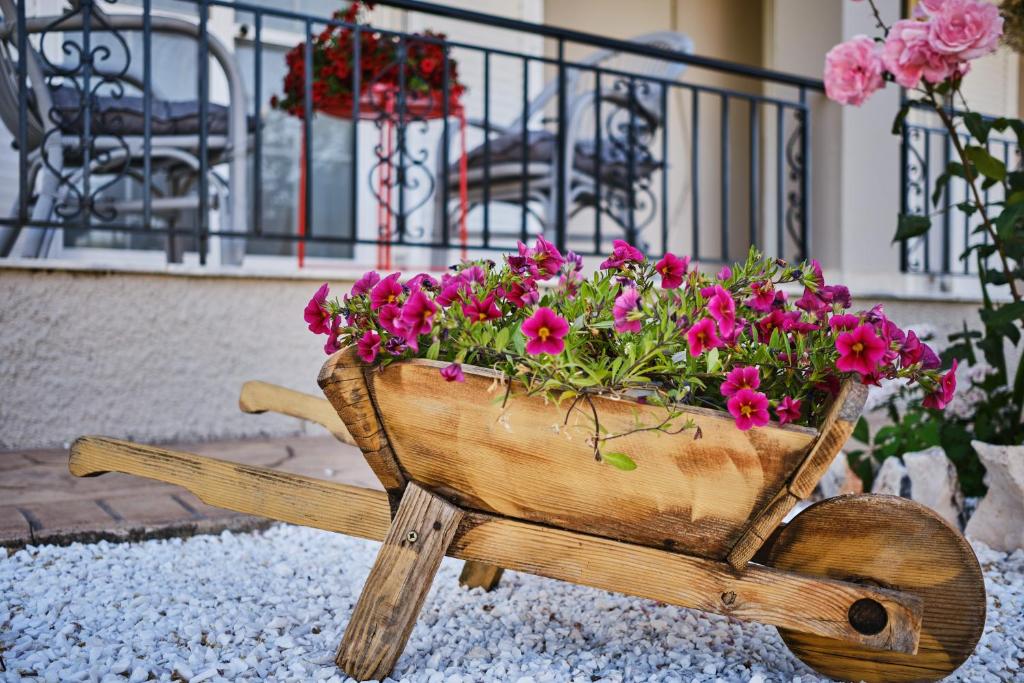 Zahrada ubytování Villa Doreta