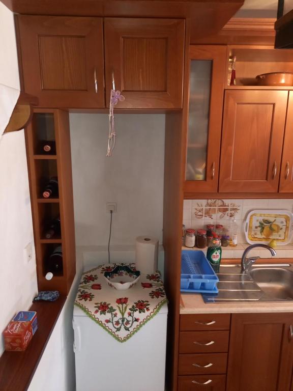 Kuchyň nebo kuchyňský kout v ubytování ΠΗΛΙΟ- ΤΟ ΕΞΟΧΙΚΟ ΤΗΣ ΑΝΝΑΣ- ΑΦΗΣΣΟΣ