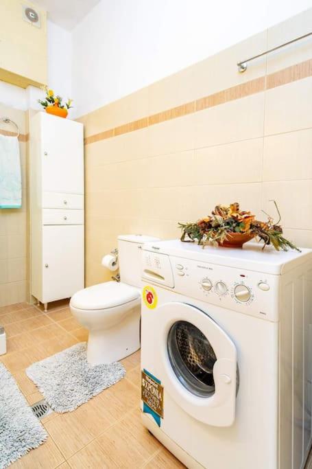 Fotografie z fotogalerie ubytování Rosa 's house v destinaci Palekastro