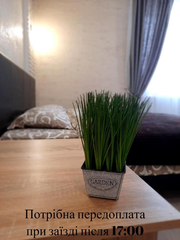 NEW studio Ap【WANT THIS】 - Studio -appartement