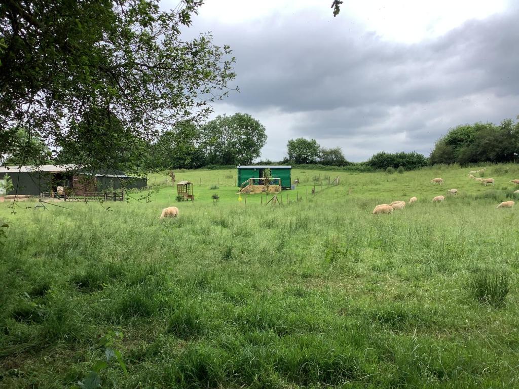 Afbeelding uit fotogalerij van Shepherds Hut (Benny's) in Cullompton