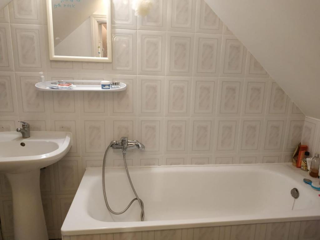 a bathroom with a bath tub and a sink at Red Nose roof-top apartment in Rīga
