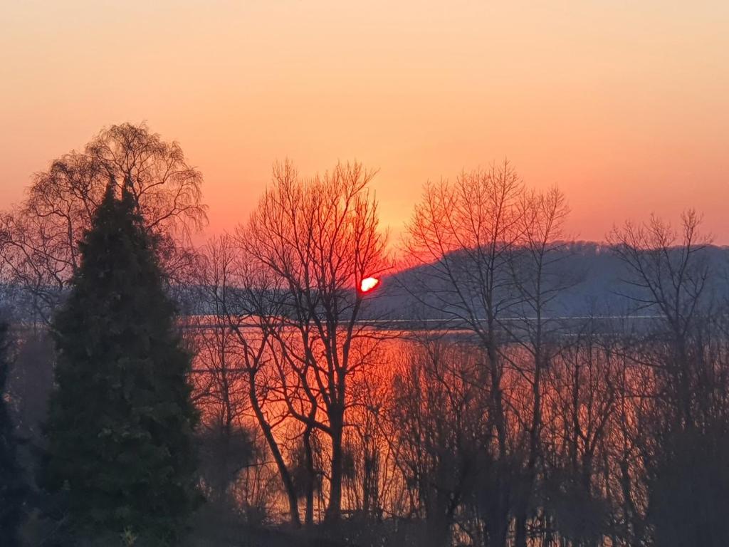 Příroda nedaleko apartmánu