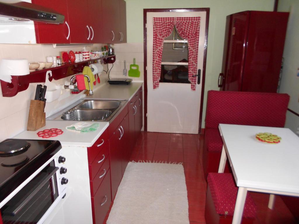 Kuchyň nebo kuchyňský kout v ubytování Apartman "Dom Stankovića"