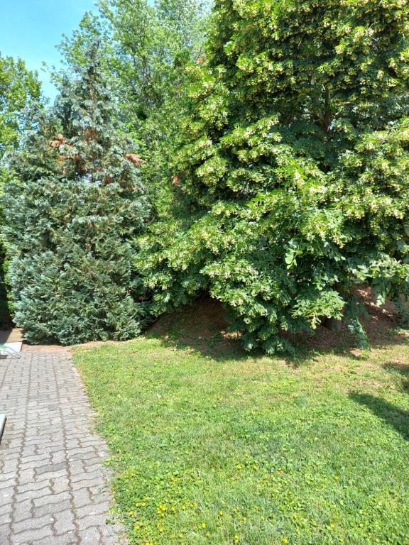 Vonkajšia záhrada v ubytovaní Helena apartman