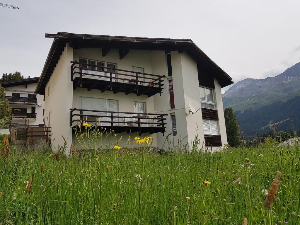 Příroda nedaleko apartmánu