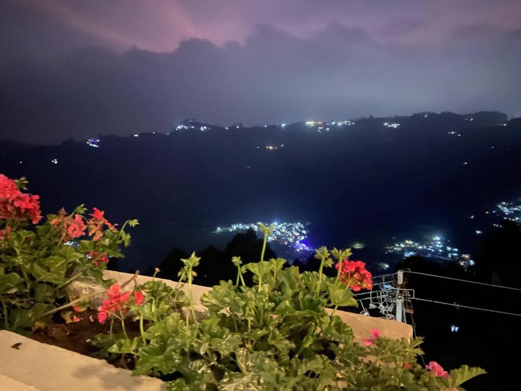 uitzicht op een berg in de nacht met bloemen bij Emmanuel Inn in Kodaikānāl