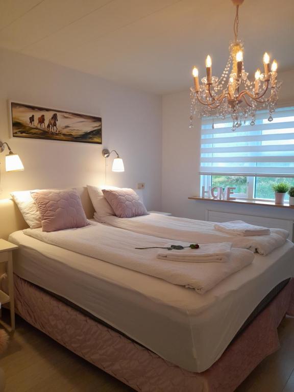 Country Dream - Langholt 2