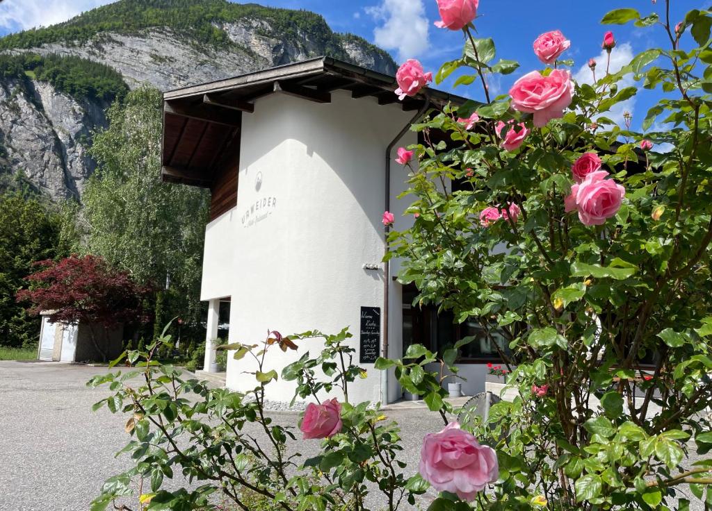 Nespecifikovaný výhled na hory nebo výhled na hory při pohledu z hotelu