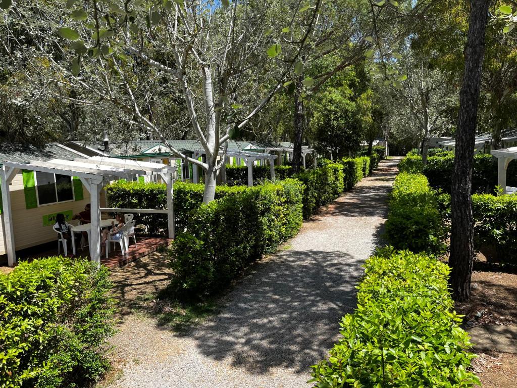 a walkway with bushes and tables and trees at Helloocamp in Marina di Bibbona