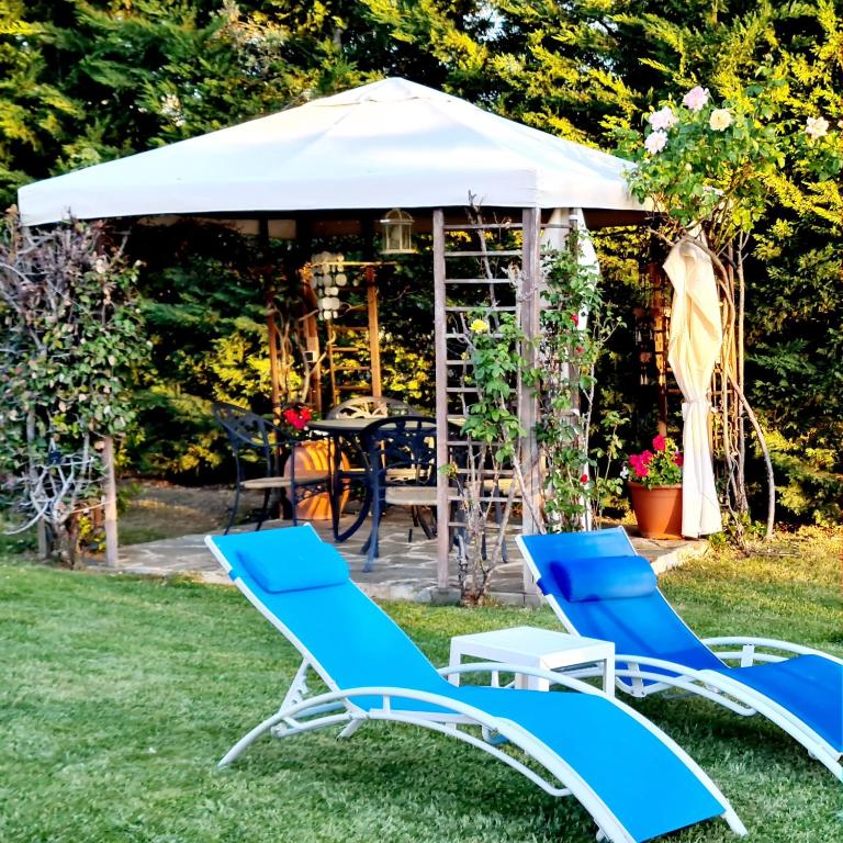Vonkajšia záhrada v ubytovaní Villa Prana