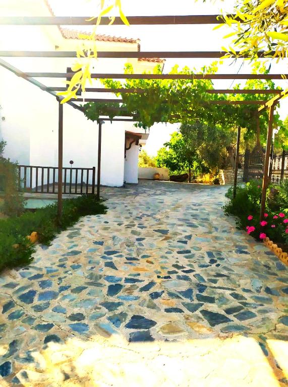 Vonkajšia záhrada v ubytovaní Villa Leonidas GreeceFiloxenia