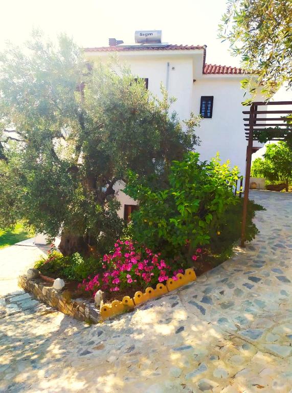Vonkajšia záhrada v ubytovaní Villa Leonidas GreeceFiloxenia