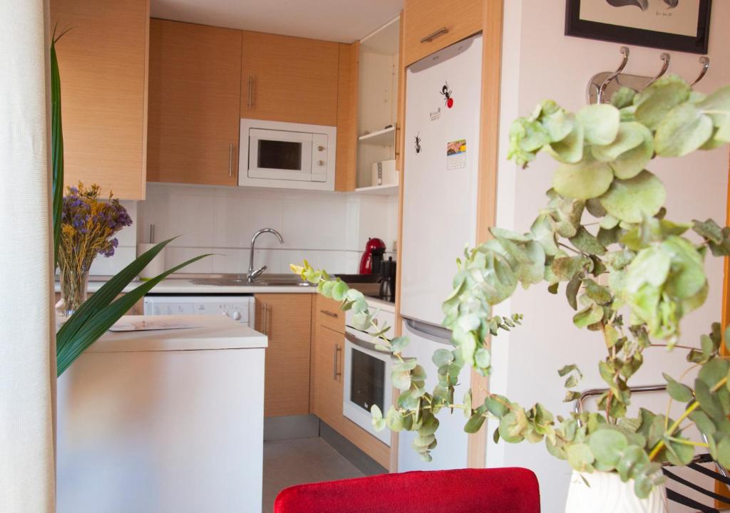 MalagaOlé Centro - 8