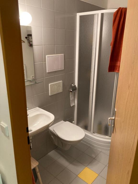 Koupelna v ubytování Horský apartmán Prášily