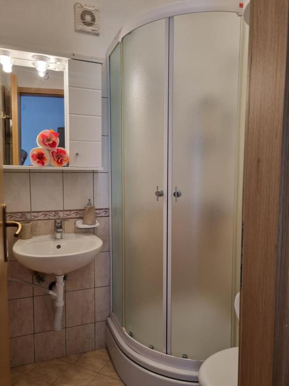 Koupelna v ubytování Apartmani Milenko Lubenice