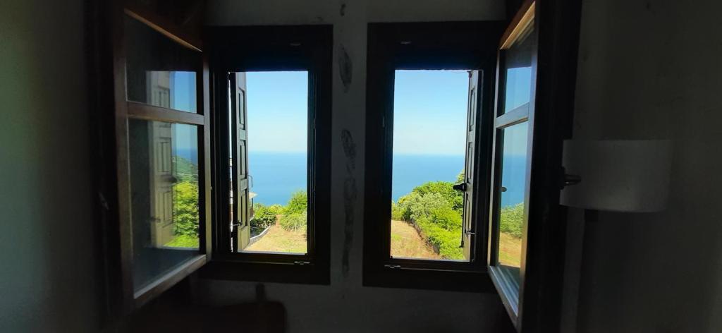 Příroda nedaleko apartmánu