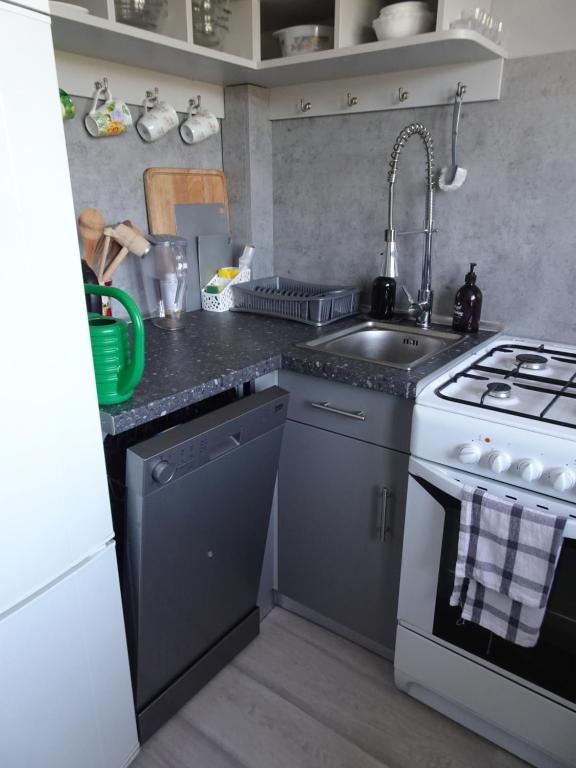 Kuchyň nebo kuchyňský kout v ubytování GRUNWALD APARTMENTS