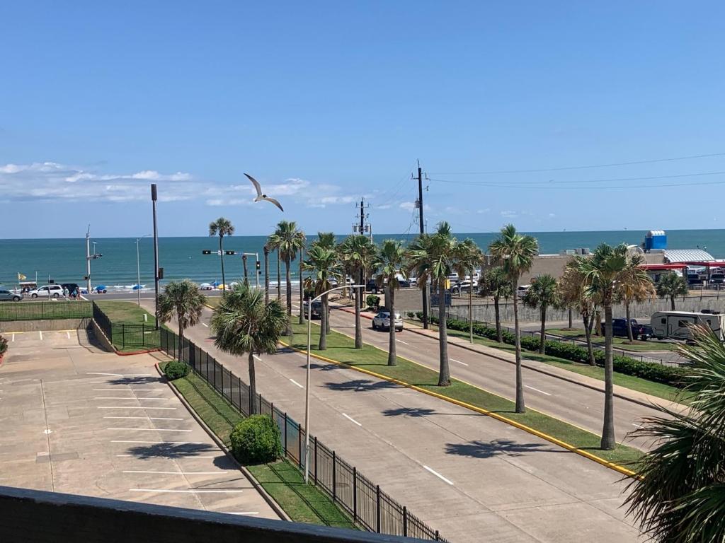 a view of a street with palm trees and the ocean at Nautical Nights! in Galveston