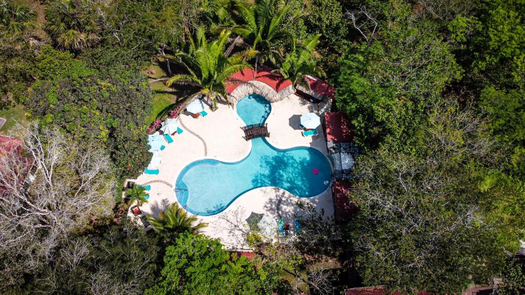 an aerial view of a resort with an elephant painted on it at KikiWitz Resort in Belmopan