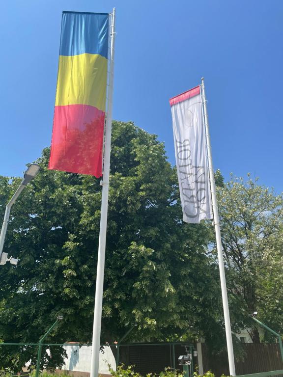 Iarca Inn - Resim 28