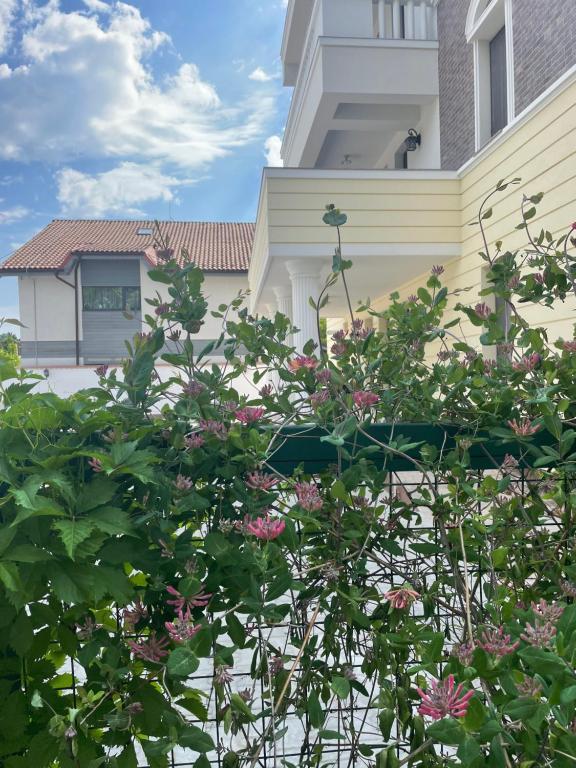 Iarca Inn - Resim 16