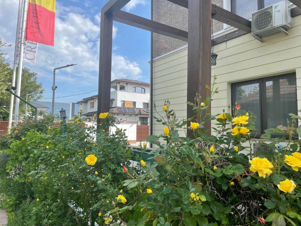 Iarca Inn - Resim 23