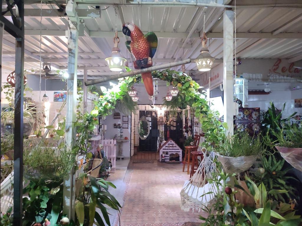 una tienda con plantas y un pollo colgando del techo en Casa Linda, en Santa Marta