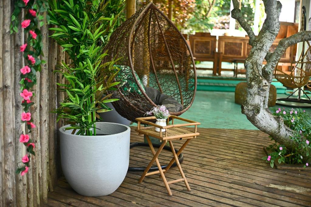 Zahrada ubytování Hare Nua Hotel Boutique