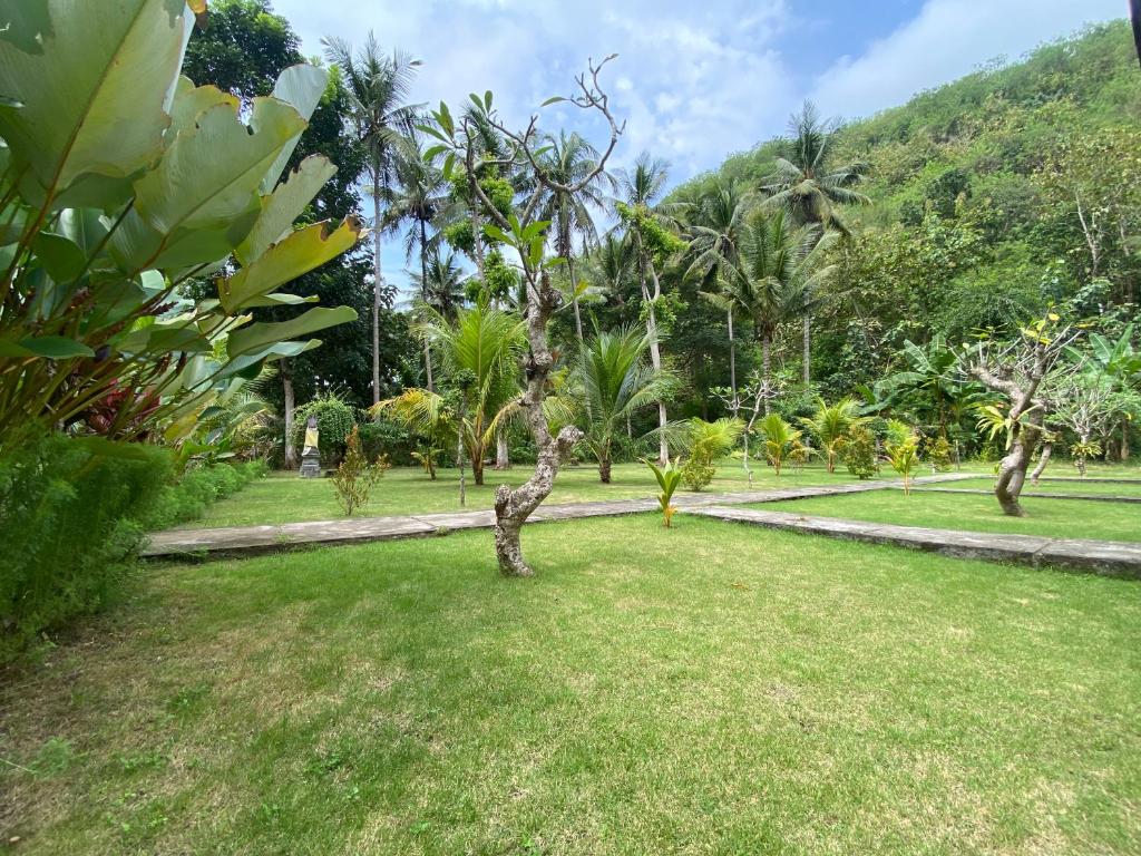 The Dulu Penida - 15