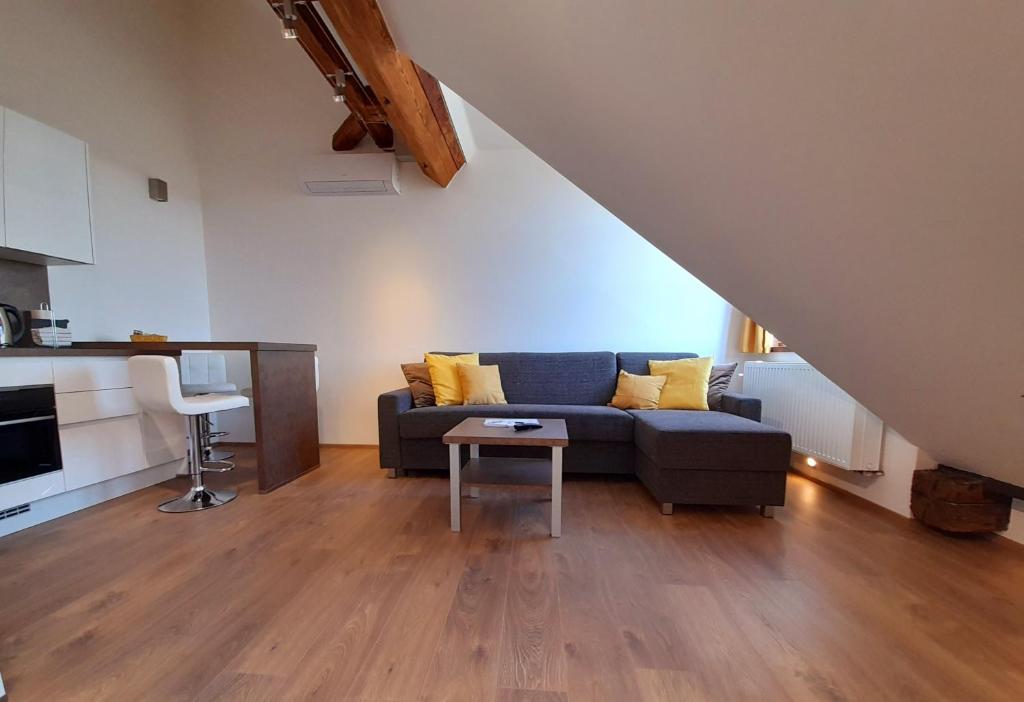 Kuchyň nebo kuchyňský kout v ubytování Residence Mariánská