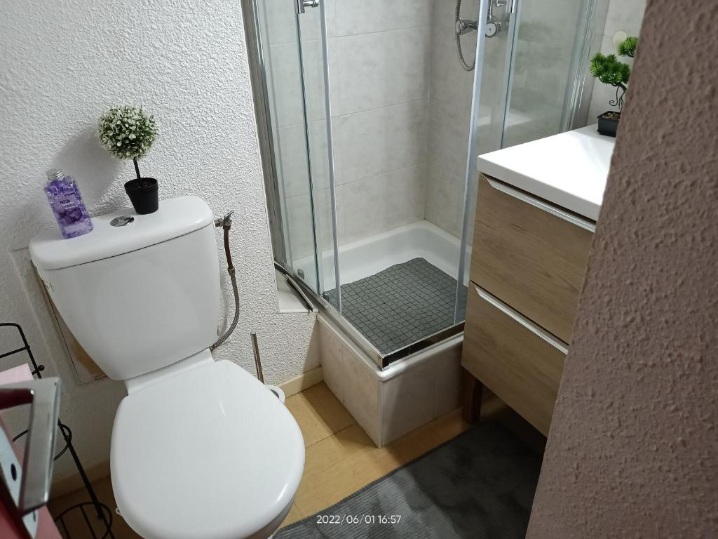 Kúpeľňa v ubytovaní St Pierre La Mer,Appartement T2 en residence calme